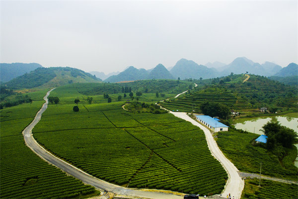 清遠(yuǎn)營(yíng)銷咨詢公司深挖需求，如何為品牌打造直擊消費(fèi)痛點(diǎn)的賣點(diǎn)？