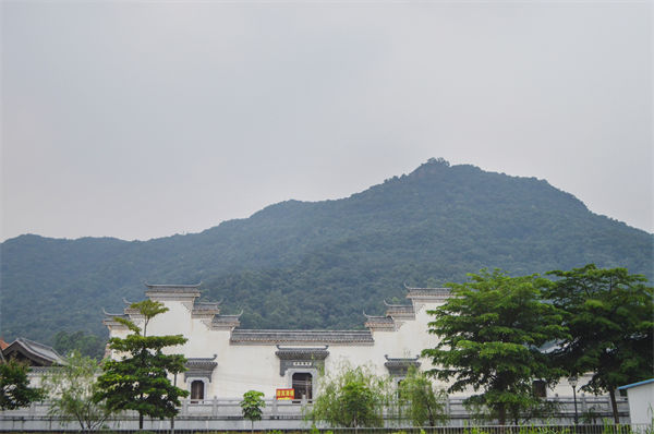 子公司各自為戰(zhàn)內(nèi)耗大，佛山集團(tuán)管控咨詢公司有何整合之道？
