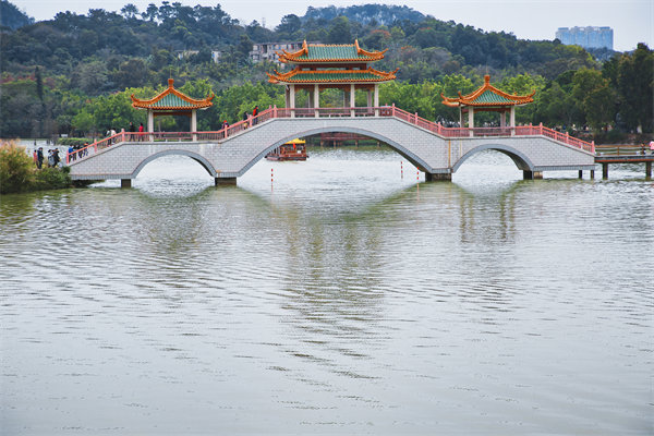 供應(yīng)鏈斷鏈頻發(fā)、交付延遲嚴(yán)重，肇慶供應(yīng)鏈咨詢公司能解嗎？