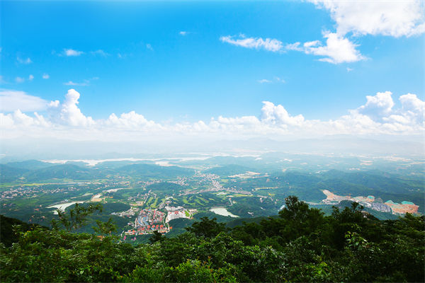 企業(yè)戰(zhàn)略飄在半空落地難，惠州戰(zhàn)略咨詢(xún)公司能錨定方向嗎？