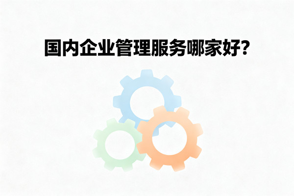國內(nèi)企業(yè)管理服務(wù)哪家好？
